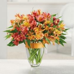 fotoğraf çiçekleri alstroemeria