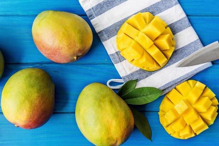 mango meyve yardımı