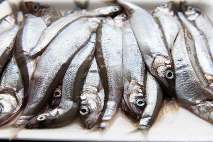 fotoğraflı capelin tarifi dolabı 