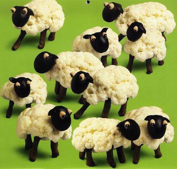 Karnabahardan koyunlar - tuhaf bir şey, herkesi memnun ediyor
