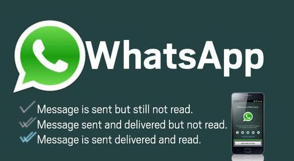 whatsapp'ta bir başkasının yazışmasını nasıl okuyabilirim