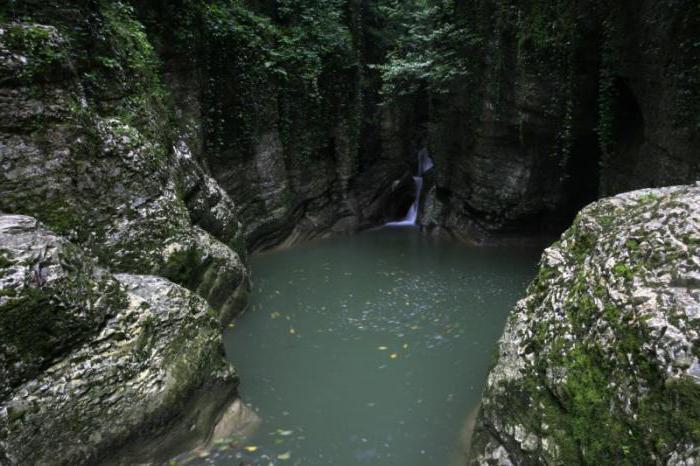 Sochi Ulusal Parkı: tarih ve modernlik