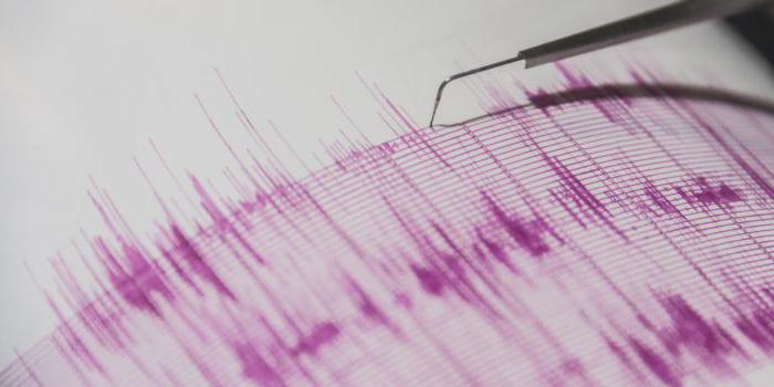 Soçi'de 4.7 puan kapasiteli bir deprem