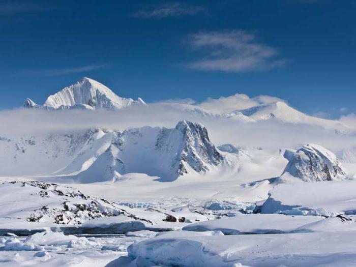 Antarktika ve kutup çölü: toprağın özellikleri ve özellikleri