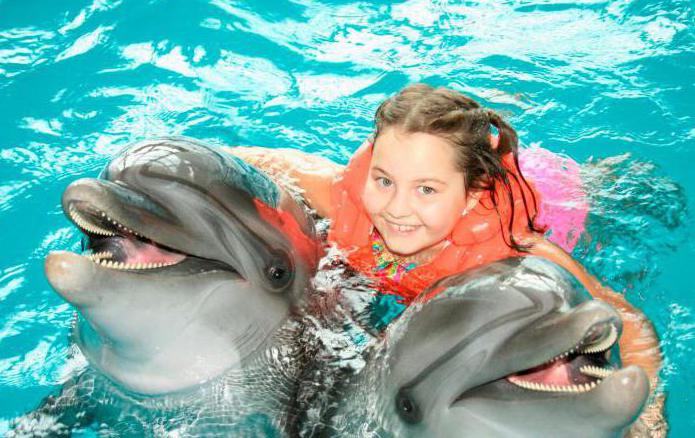 Soçi Dolphinarium Derinliği