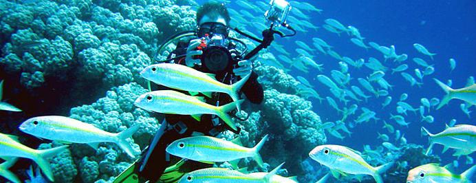 Phuket Adası: fotoğraf, açıklama