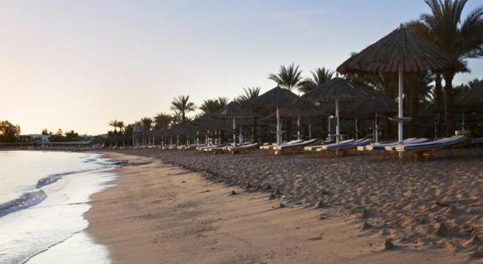 Hilton Sharm Dreams Resort 5 * (Mısır / Sharm El Sheikh): Otel değerlendirmeleri