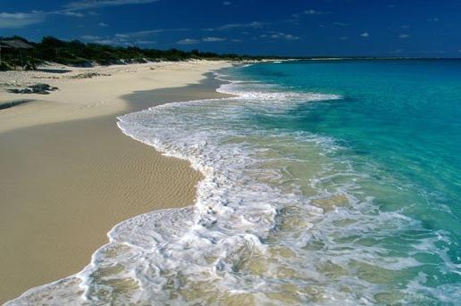 Palace Royal Garden Hotel 5 * (Djerba, Tunus): turistler hakkında fotoğraflar ve yorumlar.