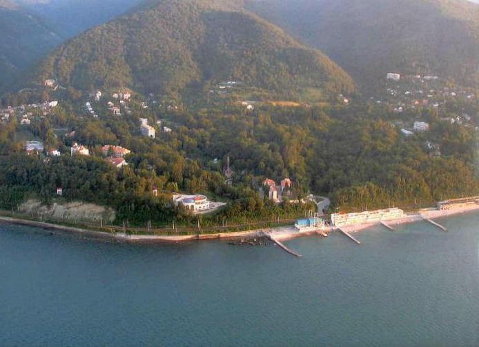 Sochi, sanatorium "Güney": yorumlar