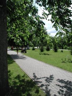 Novosibirsk'teki Zaeltsovsky Parkı