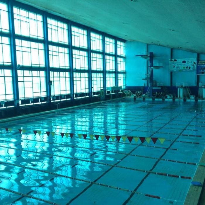 pool youth stavropol yorum